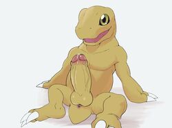 1boy agumon anus balls digimon digimon_(species) dinosaur erection katabreak male male_only nude penis precum solo video_games