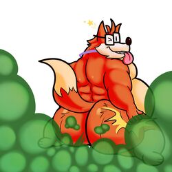 1boy 1male ass back backside belly big_ass big_butt fart fart_cloud fart_fetish farting fivey_fox fox furry furry_only gay glasses green_fart male male_only orange_fur presenting smacking_ass solo tail tongue vulpine wink winking