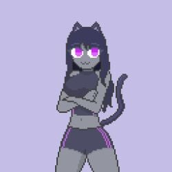 1girls aelita_(deepwoken) clothing deepwoken felinor_(deepwoken) female female_only pixel_art roblox roblox_game robloxian solo sports_bra sports_shorts tagme zionbirdy