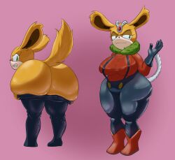 thunderbolt the chinchilla from sega by froggkingg