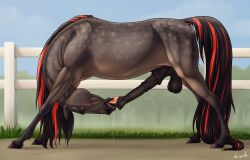 absurd_res animal_genitalia animal_penis autofellatio balls big_flare blowing_self drenia equid equine equine_genitalia equine_penis fellatio feral fionn_(drakengarth) flared_penis flexible genitals hair hi_res horse licking long_penis male mammal mane mane_hair masturbation oral oral_masturbation penile penile_masturbation penis quadruped self_lick sex tail tongue yoga