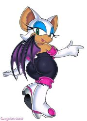 rouge the bat from sega by omegasunburst