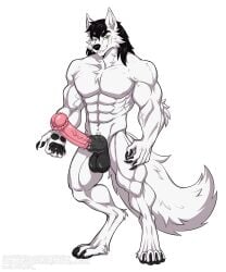 2025 absurd_res animal_genitalia animal_penis anthro balls big_penis canid canine canis digital_drawing_(artwork) digital_media_(artwork) equid equine equine_genitalia equine_penis erection fur genitals hair hi_res hybrid_genitalia hybrid_penis knot knotted_equine_penis knotted_penis lbyluc male mammal nipples nude penis scar shaded smile solo tail text url vein wolf