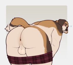 2025 ajdrawsnice anthro anus ass backsack balls ballsack bashful belly bent_over big_ass big_butt blush boxers_(clothing) boxers_down boxers_only brown_body brown_fur camilo_(ajdrawslewd) canid canine canis clothed clothing domestic_dog eyewear facial_hair floppy_ears fur genitals glasses hi_res inviting male mammal molosser mucuchies multicolored_body multicolored_fur overweight overweight_anthro overweight_male partially_clothed perineum presenting presenting_anus presenting_hindquarters rear_view shy solo stocky tail tail_aside tail_motion tailwag teasing teasing_viewer topless underwear underwear_down underwear_only undressed