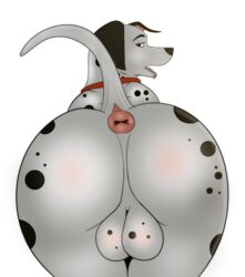 101_dalmatians anatomically_correct anatomically_correct_genitalia animal_genitalia anus ass balls big_butt canid canine canis collar dalmatian digital_media_(artwork) disney domestic_dog feral fur genitals hi_res kaze~inu looking_back male male_only mammal open_mouth pongo presenting red_collar simple_background solo spots_(marking) tongue tongue_out