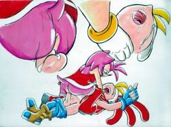 amy_rose anthro anus asphyxiation billy_hatcher crossover female fur hedgehog male mammal penis pussy reogrand sex sonic_(series) straight strangling