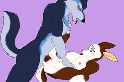 anthro blue_body blue_eyes blue_fur blush breast_squish breasts brown_body brown_fur canid canine canis cervid dawnwalkerwolf duo female female_penetrated fur knot long_ears male male_penetrating male_penetrating_female mammal penetration predator/prey pussy_blush sex spread_legs spreading squish straight vaginal_penetration wet wet_body wet_fur white_body white_fur wolf