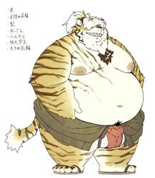 2020 absurd_res anthro asian_clothing balls belly bulge chiro_(artist) clothing east_asian_clothing felid footwear fundoshi genitals hi_res japanese_clothing japanese_text kemono male mammal moobs morbidly_obese morbidly_obese_male nipples obese obese_male overweight overweight_male pantherine sandals simple_background solo text tiger underwear white_background