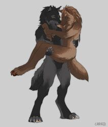 1boy 1girls 2020 4_toes 5_fingers animal_genitalia anthro arm_around_neck balls barely_visible_genitalia barely_visible_sheath black_body black_fur black_nose blue_eyes breasts bridal_carry brown_body brown_fur canid canine canis caraid carrying carrying_partner claws digitigrade duo embrace eye_contact female fingers flat_colors fur genitals hi_res jewelry kinaeris looking_at_another looking_at_partner male mammal necklace nude paws red_nose romantic_couple shadow_wolf sheath sketch smile standing straight toe_claws toes were werecanid werecanine werewolf werewolf_girl wolf yellow_eyes