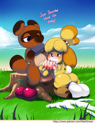 1boy 1futa animal_crossing anthro ass balls big_ass big_balls blush breasts brown_fur canine cherry claws cum cum_drip cumshot domination fellatio female fluffy fluffy_tail food foreskin fur furry futanari grass happy heart isabelle_(animal_crossing) long_foreskin looking_at_another looking_at_viewer maehcarol male male_on_futa mammal naked nintendo nipples open_mouth pawpads paws penis penis_grab precum raccoon_dog sweat tail tailwag text tom_nook tongue tongue_out uncut unretracted_foreskin yellow_body yellow_fur