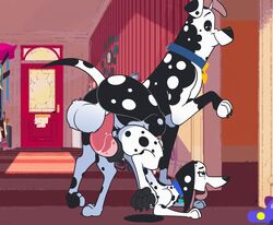 101_dalmatian_street 101_dalmatians absurd_res animal_genitalia animal_pussy anus balls big_balls big_penis bodily_fluids canid canine canine_pussy canis collar dalmatian delilah_(101_dalmatians) disney domestic_dog doug_(101_dalmatians) duo female female_penetrated feral fur genitals hi_res hypergal male male_penetrating male_penetrating_female mammal penetration penis pussy sex spots spotted_body straight