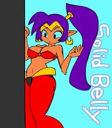 1girls animated ass_bounce ass_jiggle bouncing_ass bouncing_breasts breast_swaying breast_swing cleavage dark-skinned_female female female_only gif long_hair minus8 navel_attack navel_hit navel_slam pointy_ears purple_hair shantae shantae_(character) smooth_skin solo solo_female tagme