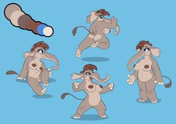 2018 anthro ass big_breasts blue_background breasts brown_hair elephant elephantid female front_view genitals grey_body grey_skin hair mammal model_sheet multiple_images multiple_poses nipples nude pose proboscidean proboscis_(anatomy) pussy rear_view simple_background siroc sitting solo standing trunk_(anatomy)