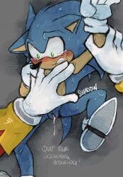 1boy 1cuntboy about_to_be_raped anthro blue_fur blush clothing crying_with_eyes_open cuntboy dialogue dr._eggman duo eggman faceless_male furry gloves green_eyes hand_on_arm hand_on_chest hedgehog human human_male human_on_anthro intersex interspecies larger_male lying_on_back male male/cuntboy mammal mature mature_cuntboy mature_male nude pussy pussy_juice pussy_juice_drip sega shoes sinad0w size_difference smaller_male sonic_(series) sonic_the_hedgehog sonic_the_hedgehog_(series) tail tears text unseen_male_face white_gloves