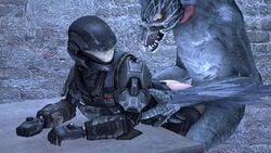 16:9 2020 3d_(artwork) alien ambiguous_penetration armor ass bent_over clothed clothing female female_penetrated from_behind_position halo_(series) headgear helmet hi_res interspecies kalartso kig-yar looking_back male male_penetrating male_penetrating_female mammal microsoft odst penetration scalie sex source_filmmaker standing straight video_games widescreen xbox_game_studios