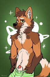 aidan_(sah) animal_genitalia anthro boxer_briefs boxers_(clothing) brown_body brown_fur canid canine clothed clothing fangs fur genitals green_clothing green_eyes green_underwear hi_res holding_object holding_underwear inner_ear_fluff looking_at_viewer male male_only mammal maned_wolf neck_tuft orange_body orange_fur pattern_clothing pattern_underwear penis penis_tip poking_out raised_tail sheath simple_background smile solo striped_clothing striped_underwear stripes tan_body tan_fur teasing topless tuft underwear yookie