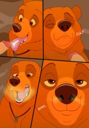 absurd_res ahe_gao anthro bear bodily_fluids brother_bear brown_body brown_fur comic cum cum_in_mouth cum_inside cum_on_tongue disney drinking drinking_cum duo feral fur gay genital_fluids hi_res human human_on_feral interspecies kenai looking_pleasured magic magzol male male/male male_human/female_feral male_on_feral male_only mammal oral tongue ursid ursine yaoi zoophilia