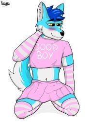 anthro belly_exposed blue_body blue_fur blush bottomwear bulge canid canine clothing crop_top erection femboy fox fur genitals good_boy hair hi_res legwear looking_away male mammal navel orange_eyes penis pink_clothing pucaet shirt shy simple_background sitting_on_knees skirt sleeves smile solo tail thigh_highs topwear white_background