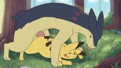 2boys anal anal_sex animal_genitalia animal_penis animated bodily_fluids cum ejaculation gay generation_1_pokemon generation_2_pokemon genital_fluids gif hi_res male male/male male_focus male_only nintendo penetration pikachu pokemon pokemon_(species) sex short_animation typhlosion vekrott