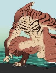 5_fingers anthro balls claws erection finger_claws fingers fish genitals hi_res male marine muscular muscular_anthro muscular_male revadiehard shark solo teeth toe_claws wet