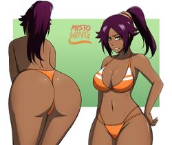 shihouin yoruichi from bleach by mistowing
