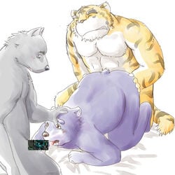 2006 anthro belly blush bodily_fluids canid canine censored closed_eyes cum cum_on_face felid gay genital_fluids group group_sex humanoid_hands kemono kotori male male/male male_only mammal overweight overweight_male pantherine sex threesome tiger ursid yaoi