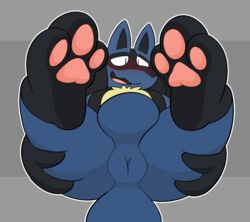 3_toes anthro anus ass backsack balls birdvian blush butt_grab foot_focus genitals hand_on_butt hi_res lucario male male_only nintendo open_mouth paws pokemon pokemon_(species) presenting presenting_anus puffy_anus simple_background solo toes video_games