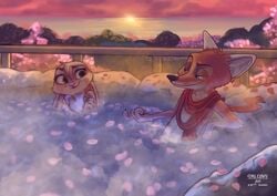 2018 absurd_res anthro bad_guy_cafe canid canine cherry_blossom cloud covering covering_self detailed detailed_background duo ears_down female fox gesture hi_res hot_spring lagomorph leporid male mammal nude ocerydia_zoona outside partially_submerged pivoted_ears plant qalcove rabbit scarf sea sky sun sunset water ziegelzeig_zoona