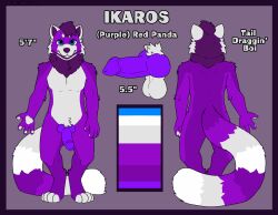 ailurid anthro bangs blue_eyes border digitigrade erection fur hi_res ikaros_(lewd_latte) knot lewd_latte long_tail male mammal model_sheet nude purple_body purple_border purple_fur red_panda solo tail white_body white_fur