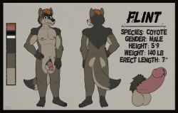 anthro ass brown_body brown_eyes brown_fur canid canine canis clawed_fingers claws coyote erection flaccid flint_(lewd_latte) fur genitals hair hi_res lewd_latte male mammal model_sheet nipples orange_hair penis smile solo tail toe_claws