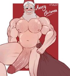 balls beard big_penis blush christmas facial_hair hat huge_cock male male_only muscles muscular nude penis santa_claus santa_hat solo solo_male tobbyc2 white_hair