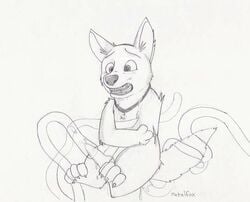 bestiality bolt_(character) bolt_(film) canine disney dog feral fur male male_only metalfox monochrome nude penis rough_sketch solo_focus tagme tentacle tentacle_on_male