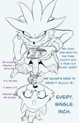 blaze the cat from sega by anitwenty