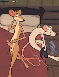 2023 absurd_res anthro balls basil_(disney) bed bed_sheet bedding big_penis biped brown_body brown_fur countershade_torso countershading digital_media_(artwork) disney duo erection fur furniture genitals hi_res humanoid_genitalia humanoid_penis lizardlars lying male male/male mammal monotone_body monotone_fur mouse multicolored_body multicolored_fur murid murine on_back on_bed penis pillow rodent tan_body tan_fur the_great_mouse_detective two_tone_body two_tone_fur white_body white_fur