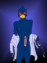 abs anthro clothes color erection falco_lombardi looking_at_viewer male male_only penis pheasant solo star_fox tagme testicles wink