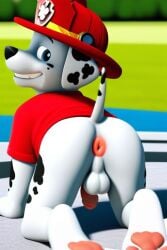 ai_generated anus furry furry_male furry_only luxeraora10 male_focus male_only marshall_(paw_patrol) partially_clothed paw_patrol penis showing_ass tensor_art wearing_helmet