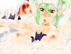 bath creature darkstalkers douganebuibui medium_breasts morrigan_aensland tagme water