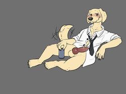 albixanad animal_genitalia animal_penis anthro balls beastars bird_dog blush canid canine canis clothed clothing domestic_dog genitals hunting_dog jack_(beastars) knot labrador lying male mammal necktie on_side open_clothing open_shirt open_topwear partially_clothed penis retriever shirt solo topwear