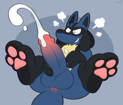 3_toes absurd_res anthro anus backsack balls big_feet big_penis birdvian bodily_fluids cum cumshot ejaculation feet genital_fluids genitals hi_res lucario male male_anus male_only masturbation nintendo penile penile_masturbation penis pokemon pokemon_(species) simple_background solo spread_legs spreading toes video_games