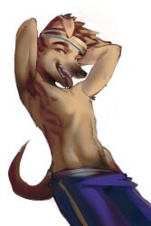 2026 armpit_fetish armpit_hair artist_request dreamworks forgotten_island furry furry_only gay male male_only no_visible_genitalia raww_(forgotten_island) tagme yaoi