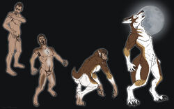 allthewrongpieces animal_genitalia animal_penis anthro balls canid canine canis claws fangs fur fur_growth genitals growth human human_to_anthro humanoid_genitalia humanoid_penis male male_only mammal moon penis sequence sheath solo species_transformation standing tail_growth toe_claws transformation transformation_sequence were werecanid werecanine werewolf wolf