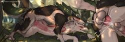 amaterasu from capcom by zackary911