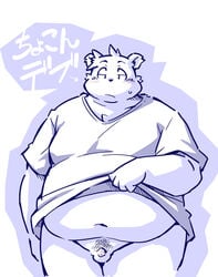 2020 anthro balls belly blush clothing fur genitals humanoid_hands japanese_text kemono male male_only mammal monochrome_(series) navel overweight overweight_anthro overweight_male penis polar_bear shirt small_penis solo takagi_kyou text topwear ursid ursine white_body white_fur wight_bracken