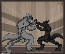 aaron_(artist) animal_genitalia anthro arulust balls biceps border canid canine canis duo fully_sheathed fur genitals grey_body grey_fur male male/male mammal muscular muscular_anthro muscular_male nude orange_border sheath teeth wolf wolf_tail wrestling