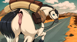 1girls animal_genitalia animal_pussy butt conditional_dnp desert equid equine equine_pussy female feral genitals hi_res horse jotun22 mammal pussy road solo