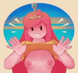 1girls adventure_time areolae breasts dabble female female_only flashing looking_at_viewer medium_breasts nipples open_mouth presenting presenting_breasts princess_bubblegum shirt_lift smile solo teeth