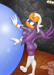 anthro female female_only solo sonic_(series) sonic_riders swallow tagme vlade wave_the_swallow