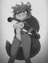 fan character from sonic (series) by feliscede