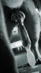 bestiality canine condom condom_balloon condom_filling condom_on_penis cum cum_drip dog_penis dog_tail erect_penis erection german_shepherd knot knotted_penis serevene srvn teasing_viewer zoophilia