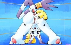 1girls anus ass bandai_namco catjam_(artist) digimon digimon_(species) female female_only fur gatomon genitals leaning leaning_forward looking_at_viewer looking_back pawpads paws presenting presenting_anus presenting_hindquarters presenting_pussy pussy raised_tail solo spread_anus spread_butt spread_legs spread_pussy spreading tail white_body white_fur